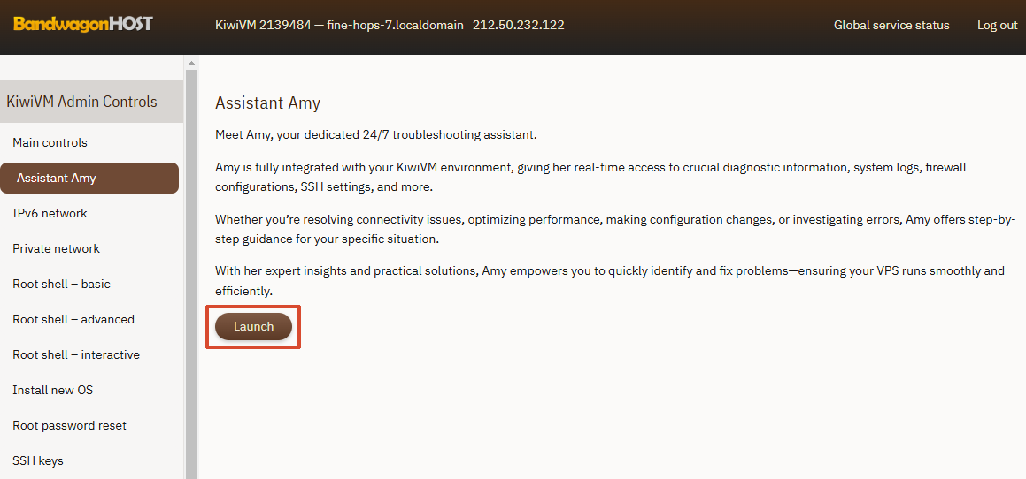 启动 Amy